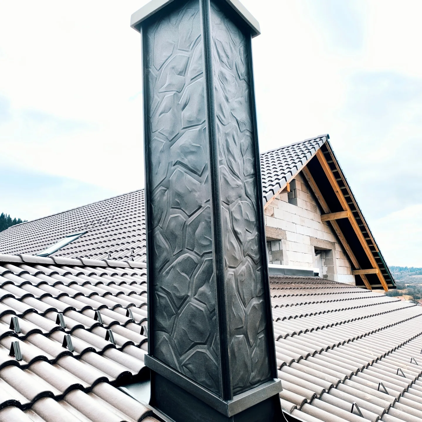 Kaminas - projektas 6, foto 2