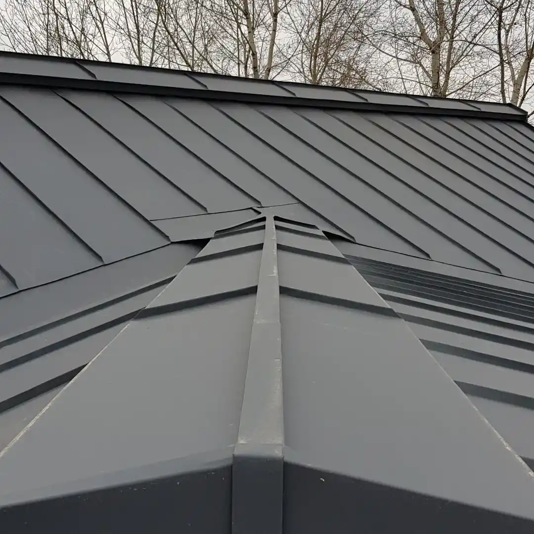 3D kraigas - projektas 2, foto 4