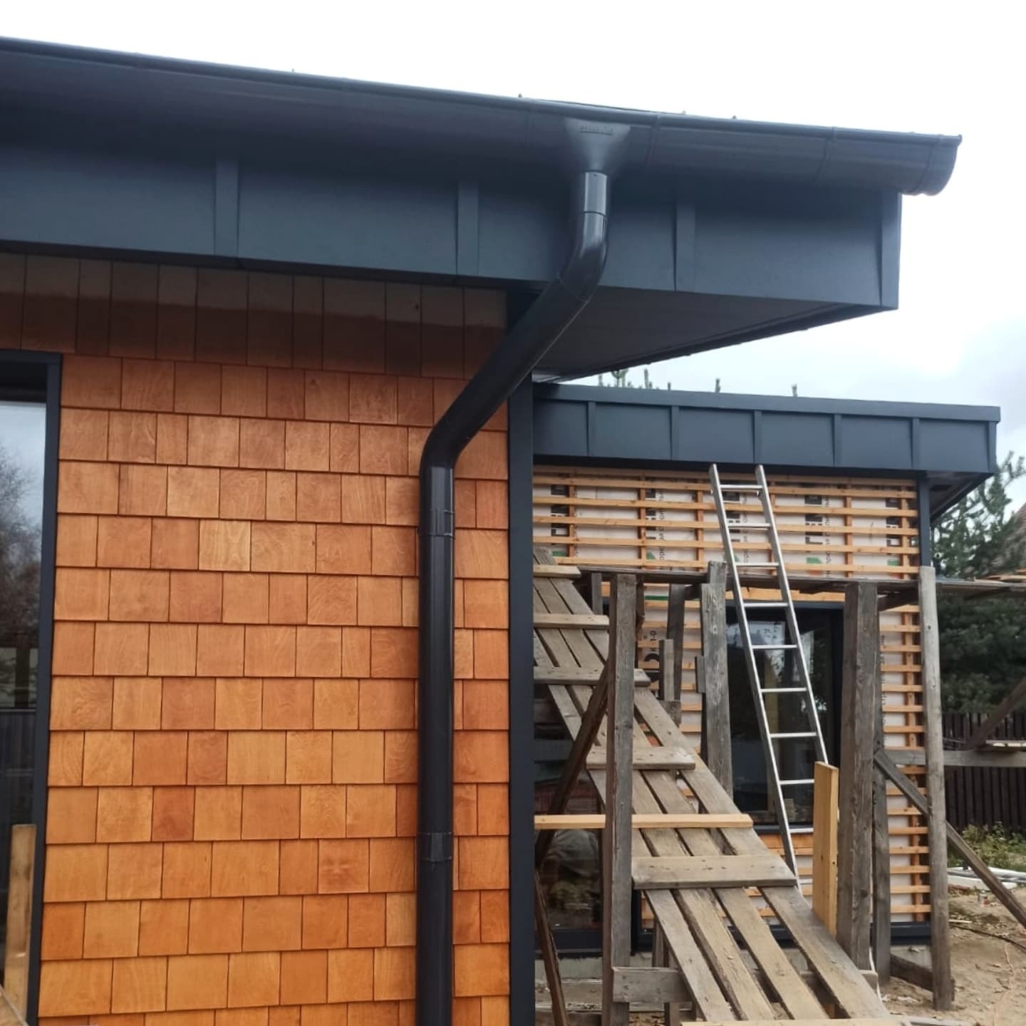 3D pakalinys - projektas 3, foto 1