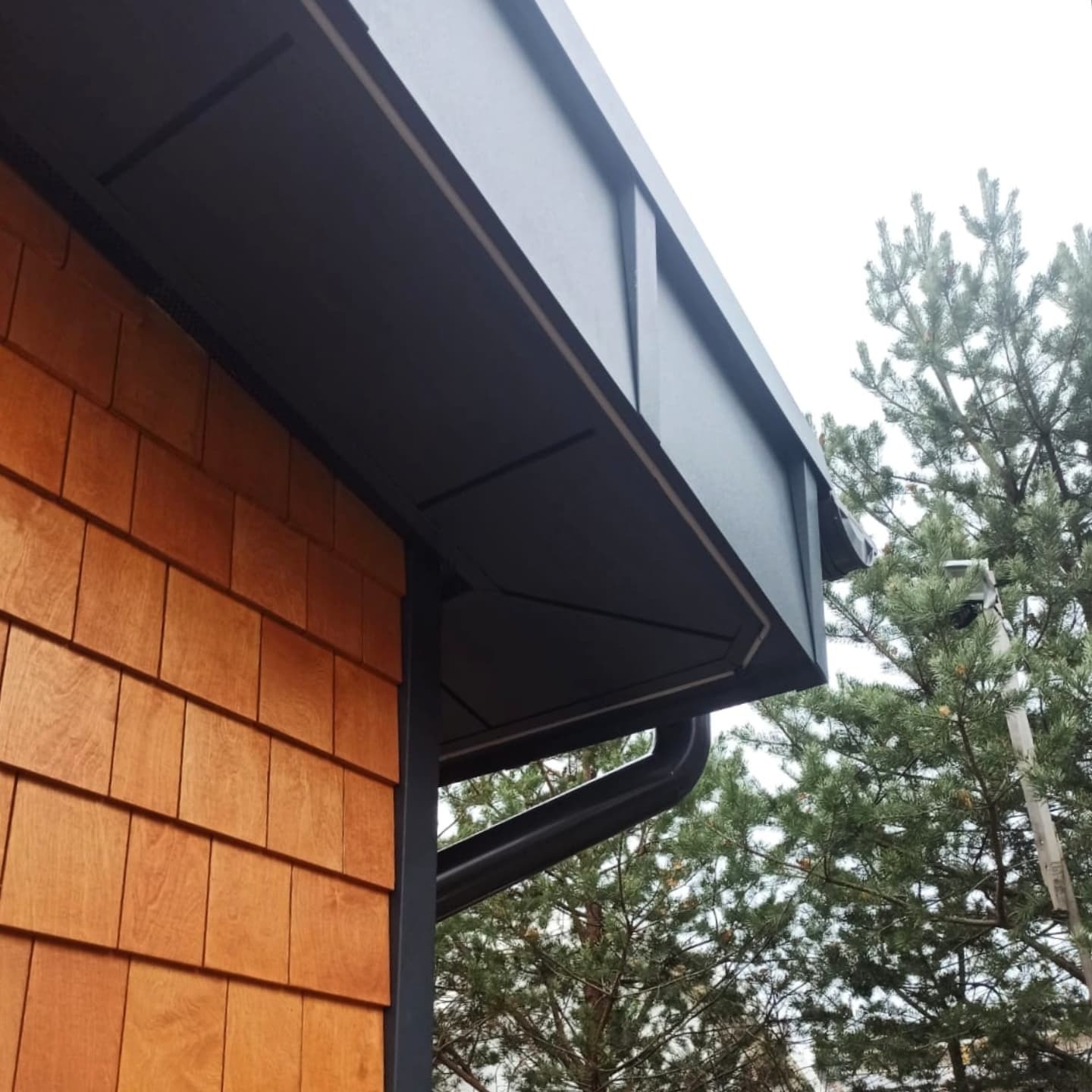 3D pakalinys - projektas 3, foto 3