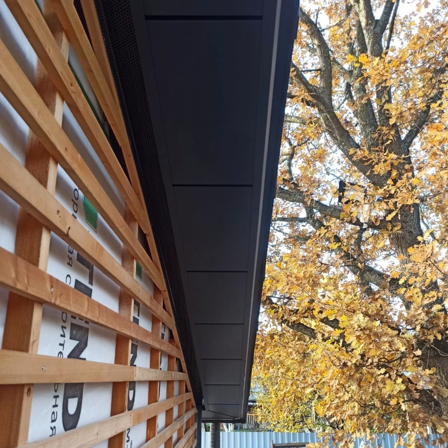 3D pakalinys - projektas 3, foto 5