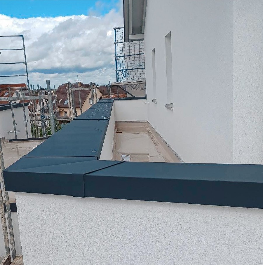 3D parapetas - projektas 1, foto 5